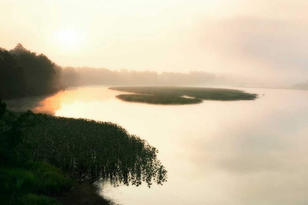 Fog on the Mattaponi VII art print by Alan Hausenflock for $57.95 CAD