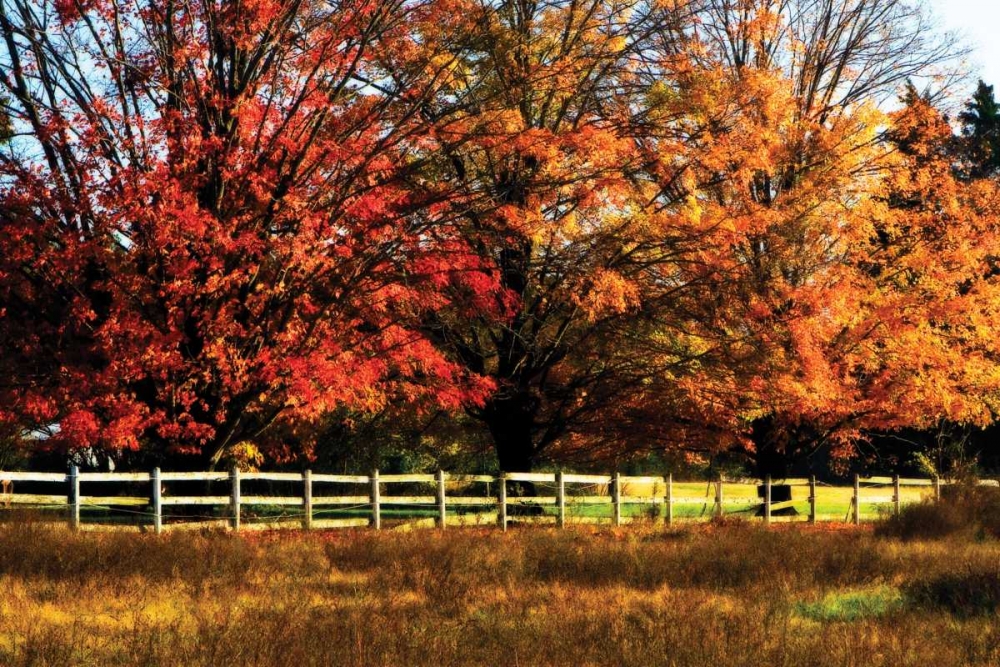 Autumn in the Fields art print by Alan Hausenflock for $57.95 CAD