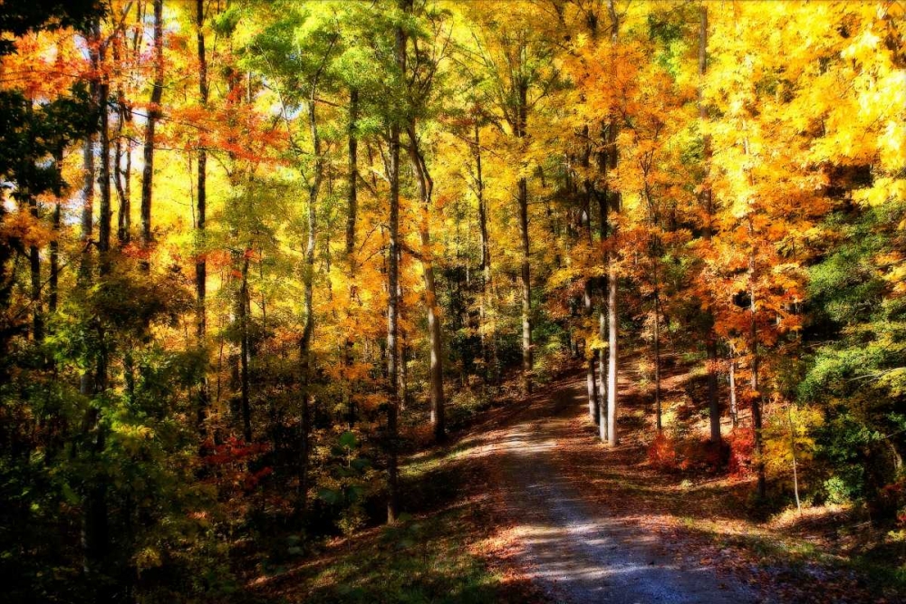 The Road Home art print by Alan Hausenflock for $57.95 CAD