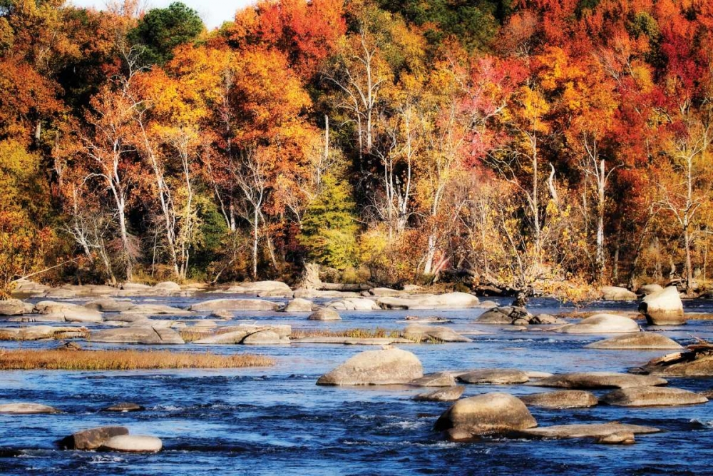 Autumn on the River II art print by Alan Hausenflock for $57.95 CAD