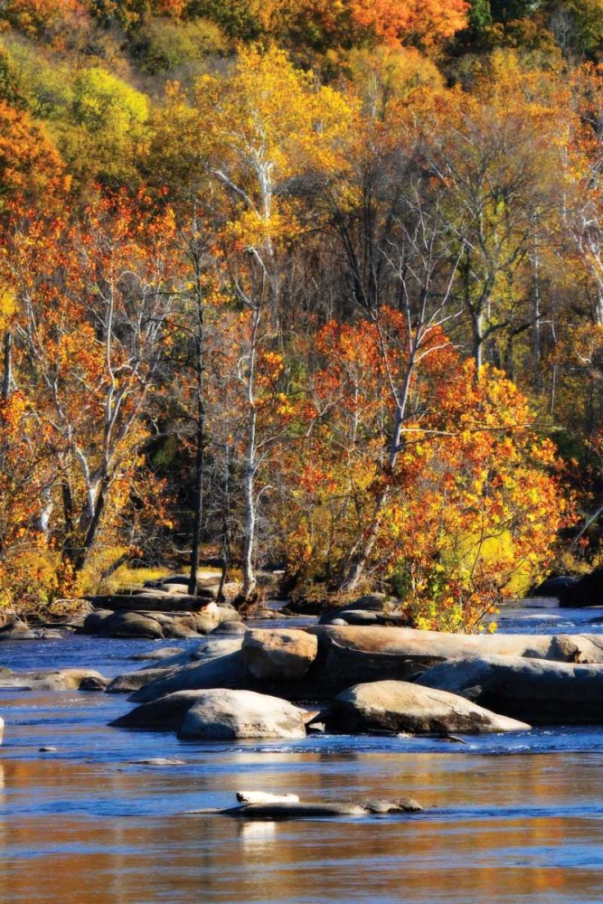 Autumn on the River I0 art print by Alan Hausenflock for $57.95 CAD