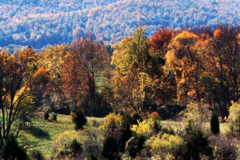 Autumn Foothills I art print by Alan Hausenflock for $57.95 CAD