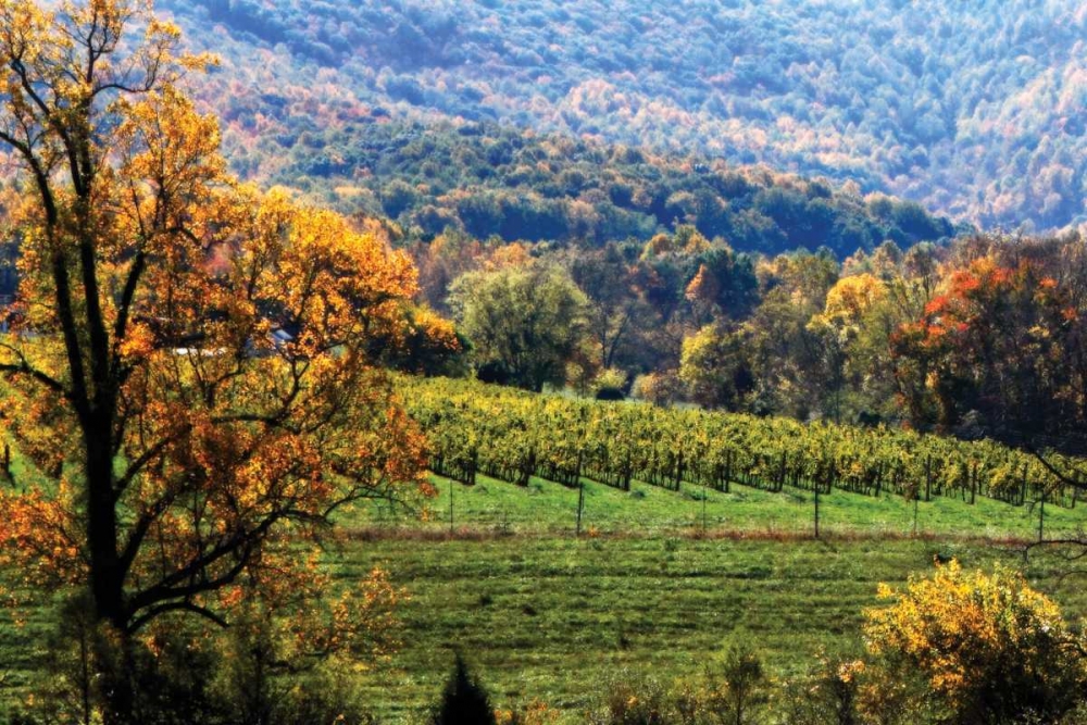 Autumn Foothills II art print by Alan Hausenflock for $57.95 CAD