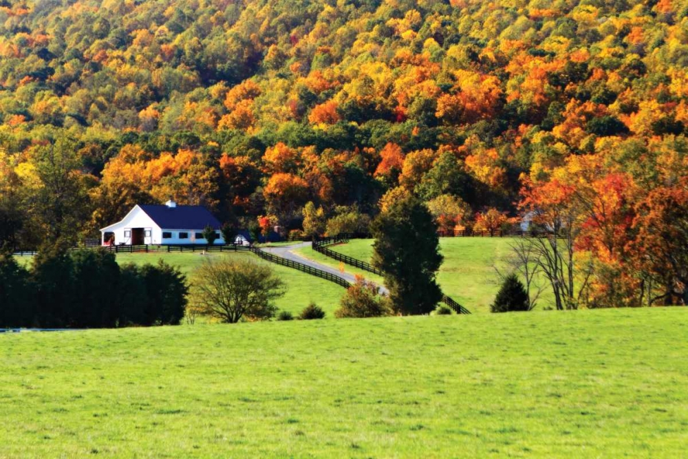 Mountain Farm I art print by Alan Hausenflock for $57.95 CAD
