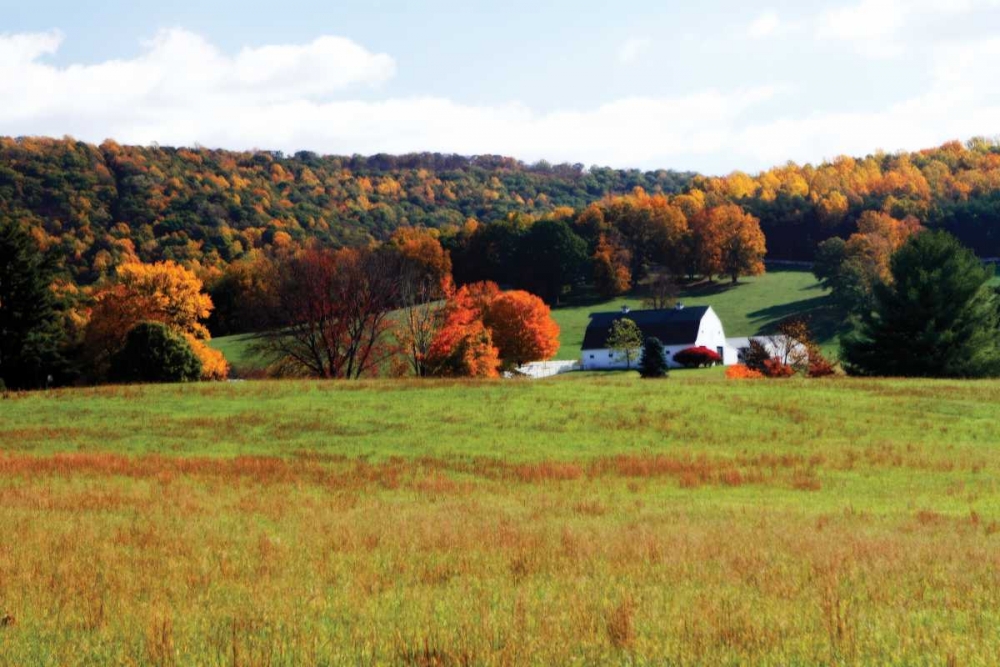 Mountain Farm II art print by Alan Hausenflock for $57.95 CAD