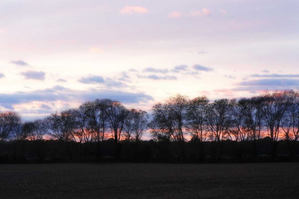 Winter Sunset I art print by Alan Hausenflock for $57.95 CAD