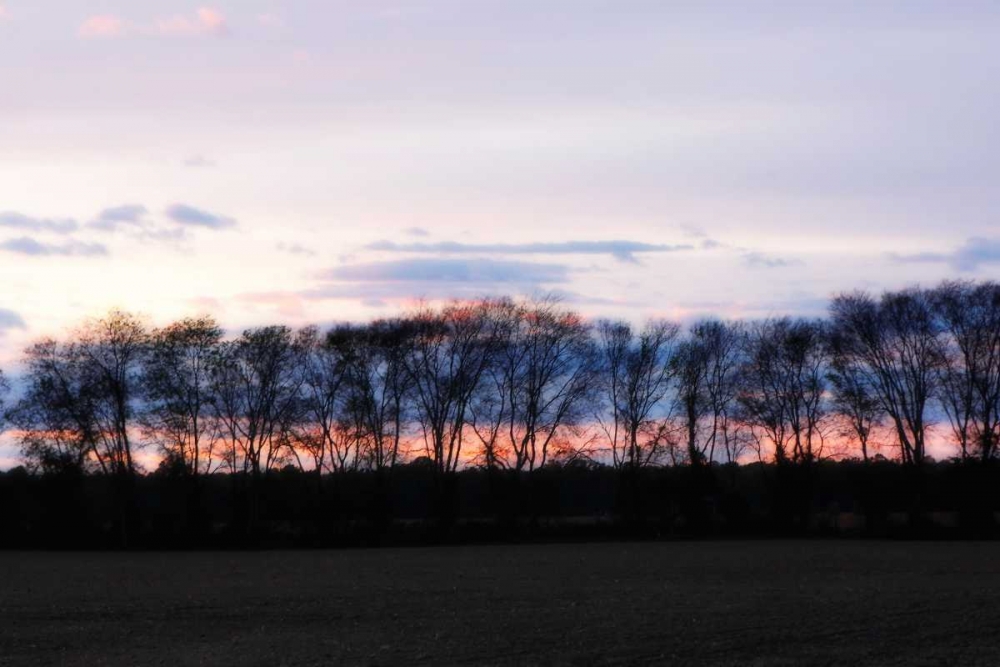 Winter Sunset II art print by Alan Hausenflock for $57.95 CAD