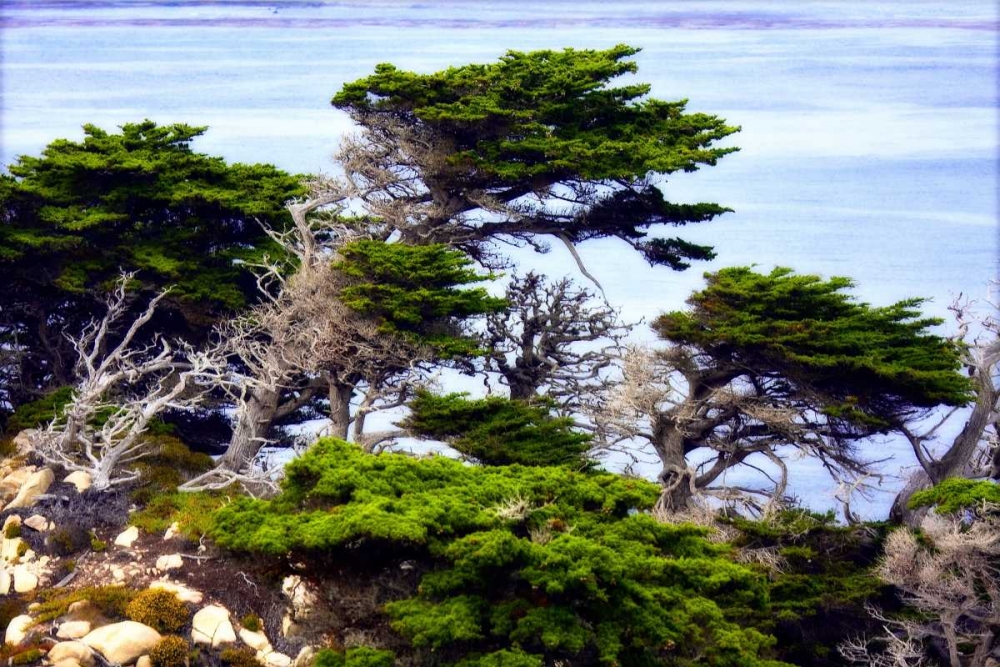 North Point I art print by Alan Hausenflock for $57.95 CAD