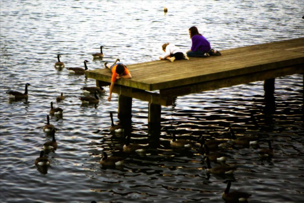 Feeding the Geese III art print by Alan Hausenflock for $57.95 CAD