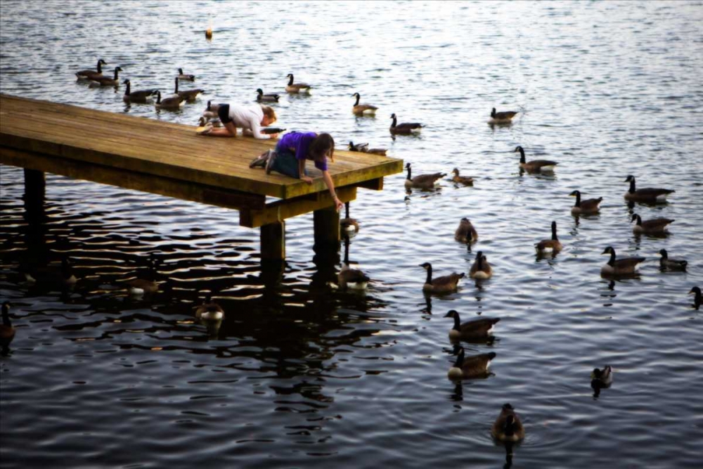 Feeding the Geese IV art print by Alan Hausenflock for $57.95 CAD
