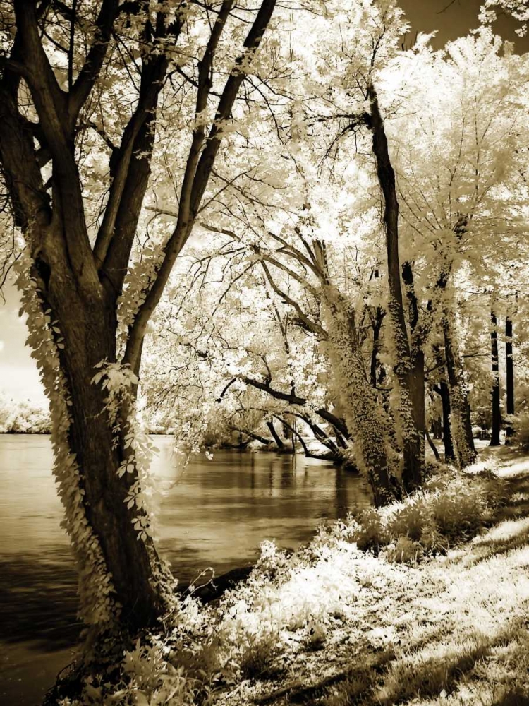 Spring on the River II art print by Alan Hausenflock for $57.95 CAD