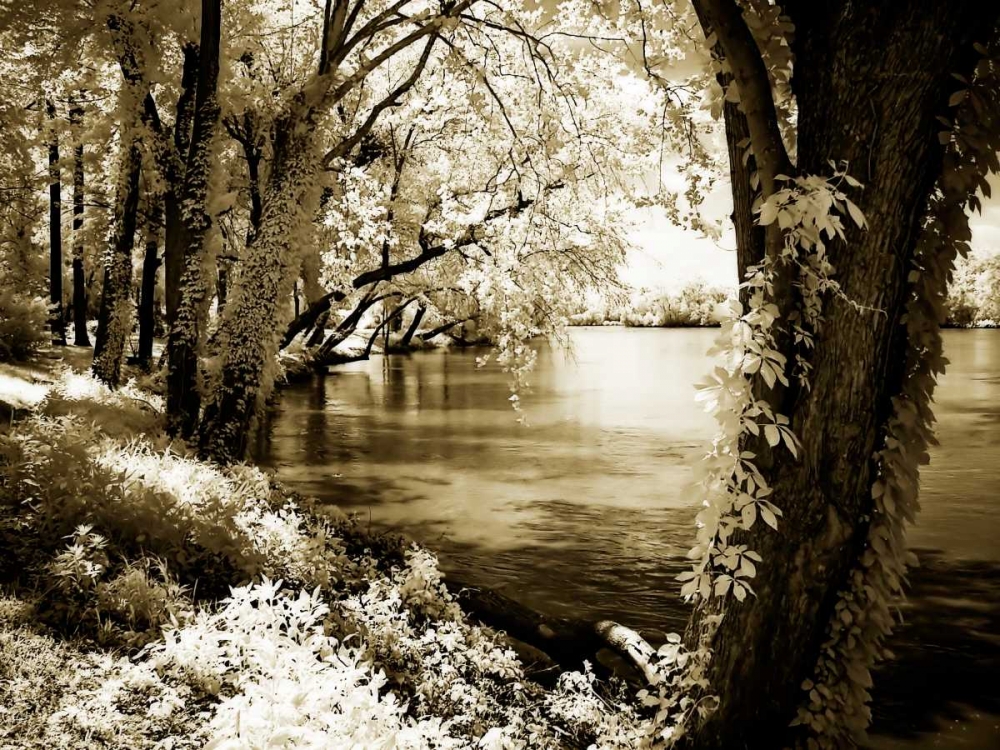 Spring on the River III art print by Alan Hausenflock for $57.95 CAD