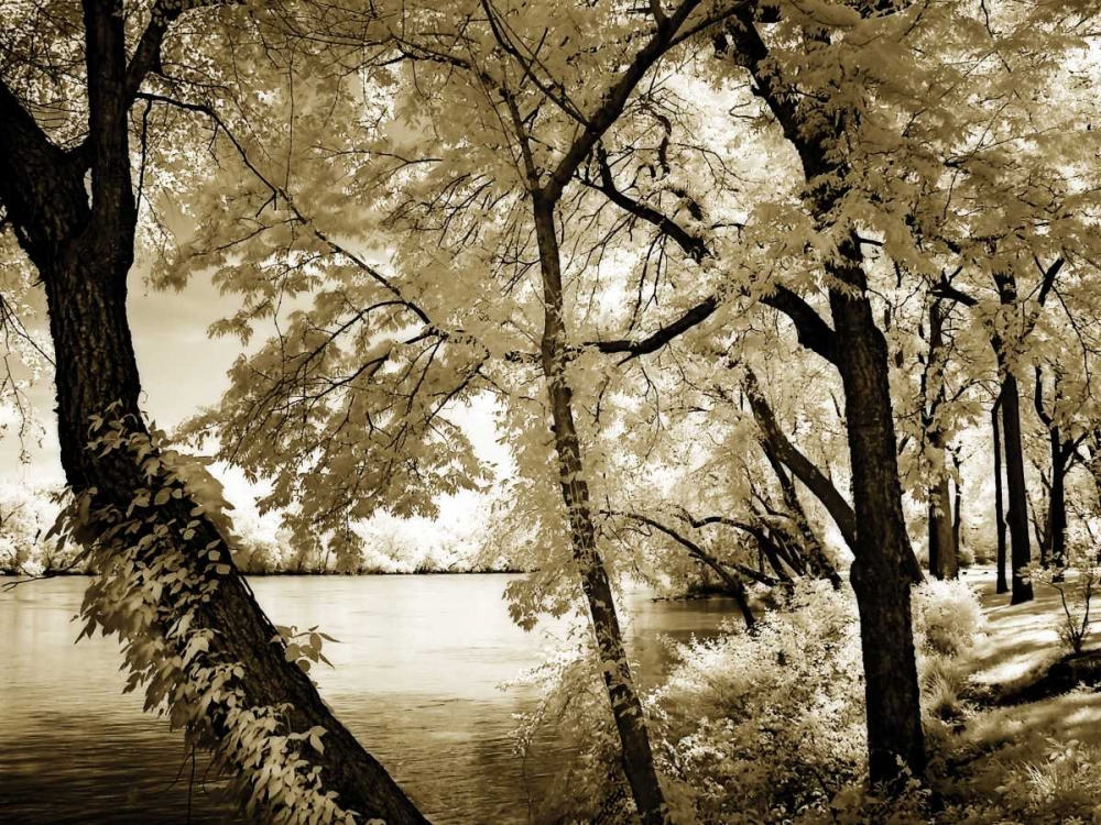 Spring on the River IV art print by Alan Hausenflock for $57.95 CAD
