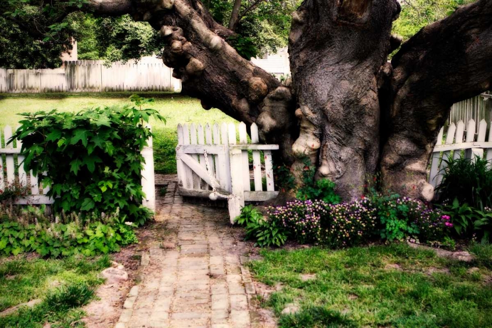 Grandfather Tree I art print by Alan Hausenflock for $57.95 CAD