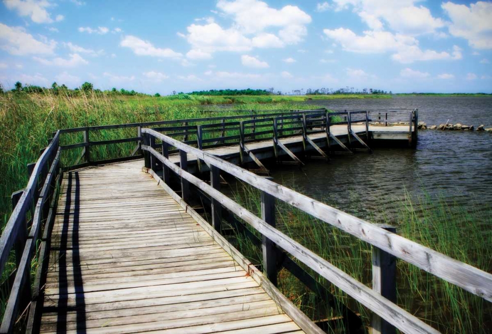 Wetland Walkway IV art print by Alan Hausenflock for $57.95 CAD