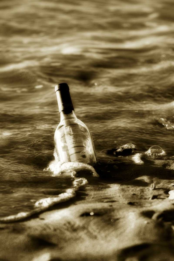 Message in a Bottle I art print by Alan Hausenflock for $57.95 CAD