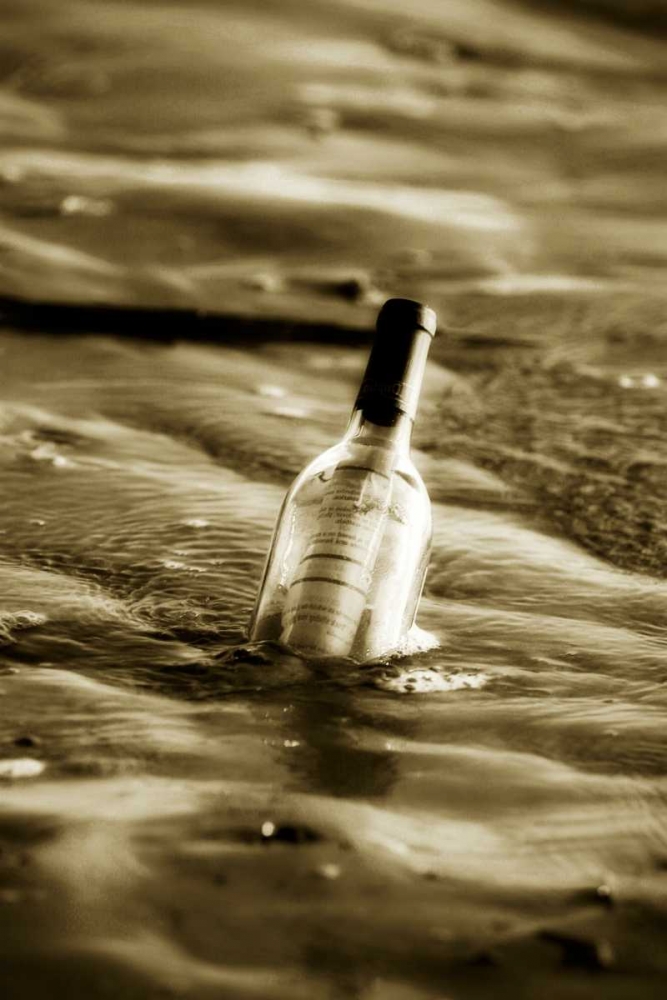 Message in a Bottle II art print by Alan Hausenflock for $57.95 CAD