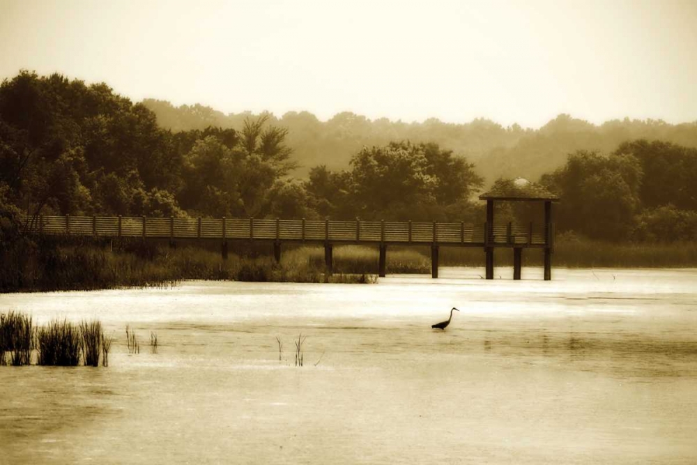 Lagoon I art print by Alan Hausenflock for $57.95 CAD
