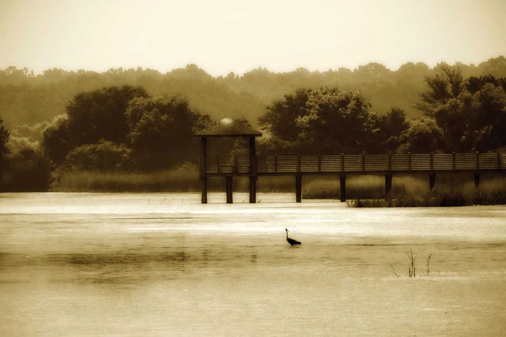 Lagoon II art print by Alan Hausenflock for $57.95 CAD