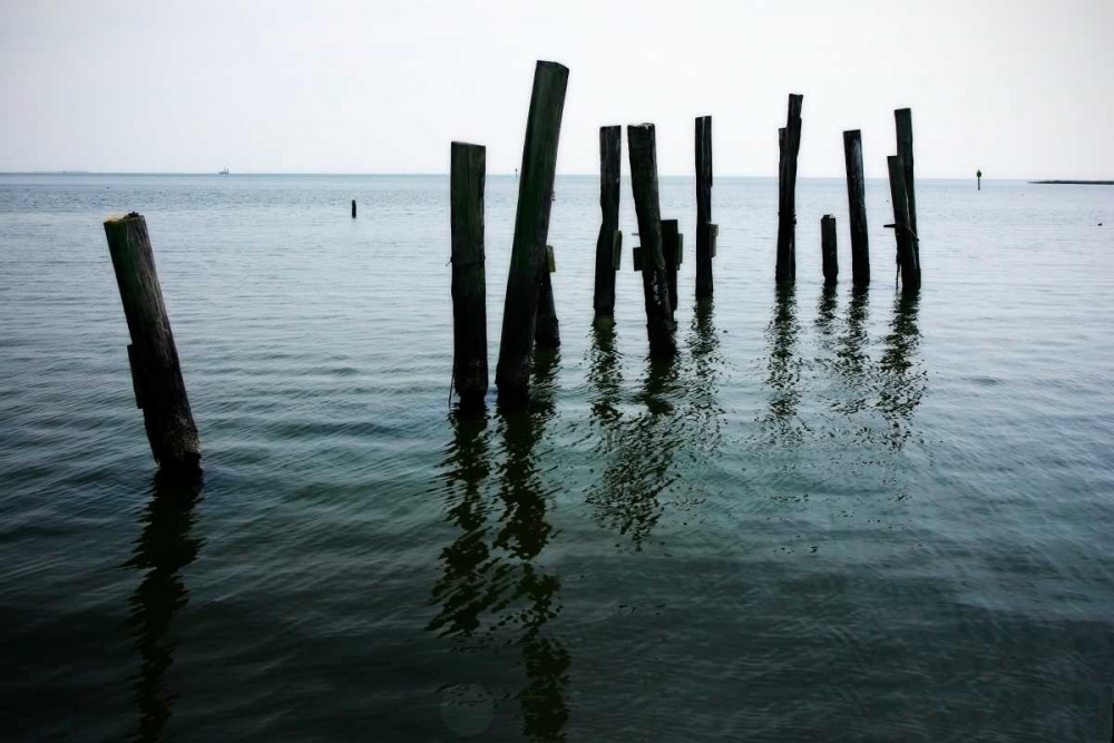 Pilings II art print by Alan Hausenflock for $57.95 CAD