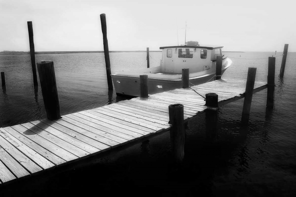Waiting on the Fog II art print by Alan Hausenflock for $57.95 CAD