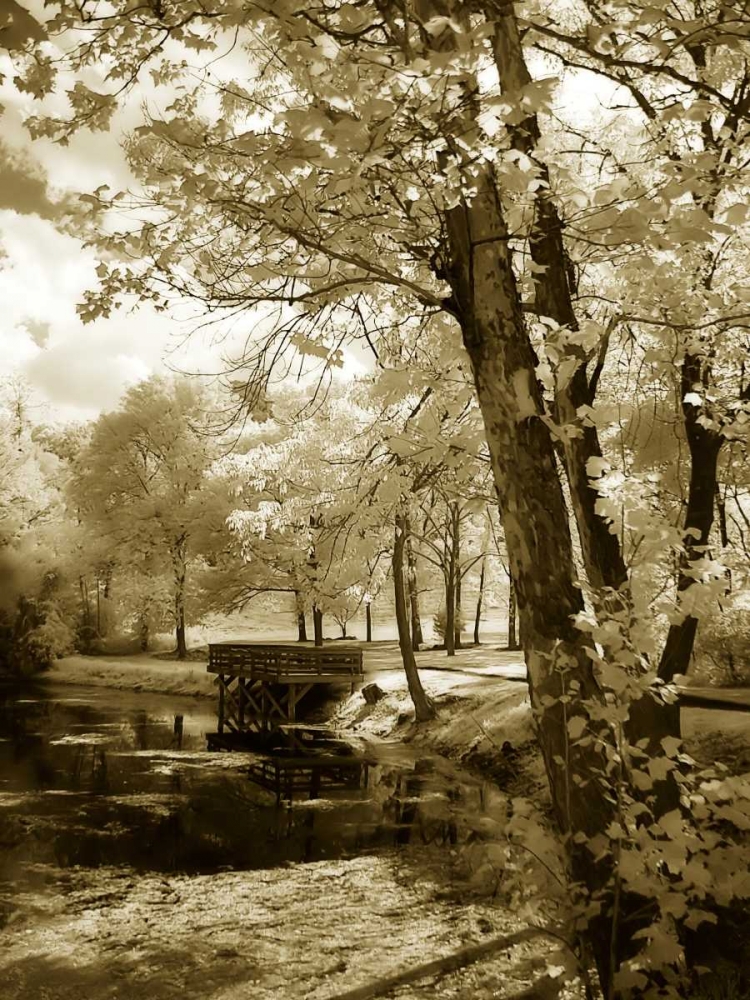 Mint Springs Lake I art print by Alan Hausenflock for $57.95 CAD