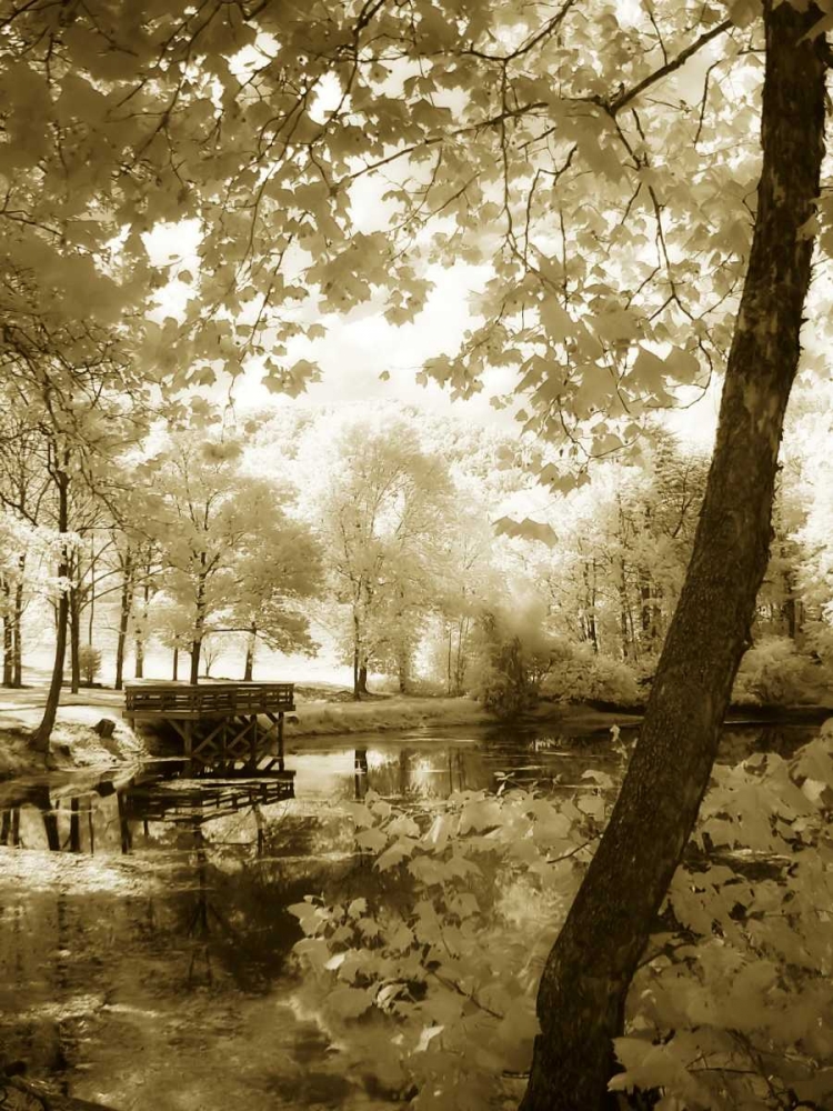 Mint Springs Lake II art print by Alan Hausenflock for $57.95 CAD