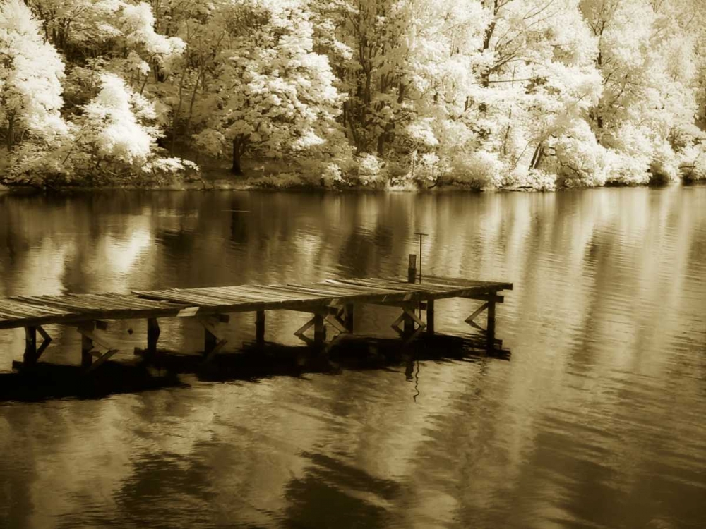 Mint Springs Lake III art print by Alan Hausenflock for $57.95 CAD