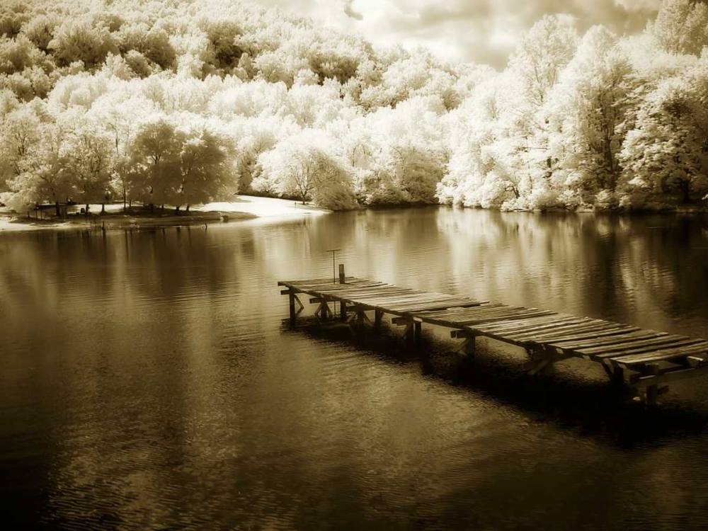 Mint Springs Lake IV art print by Alan Hausenflock for $57.95 CAD