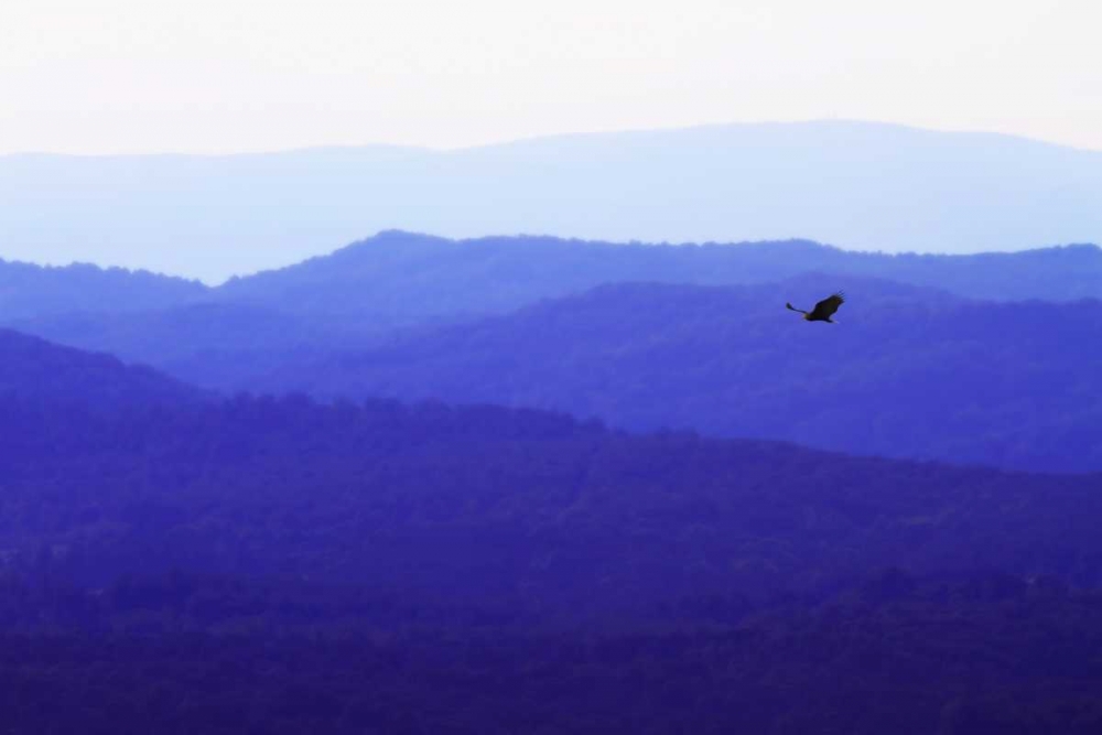 Blue Ridge I art print by Alan Hausenflock for $57.95 CAD