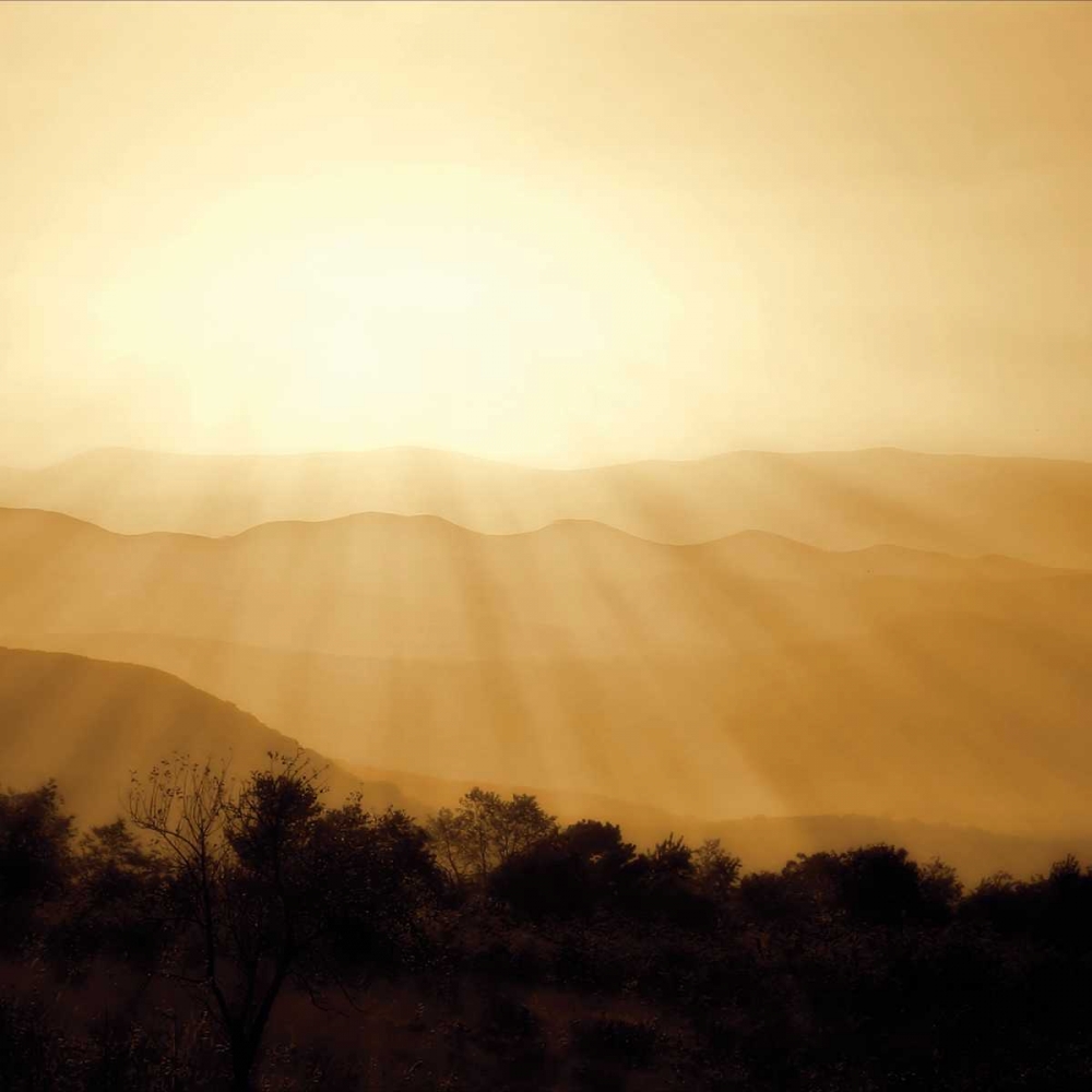 Distant Mountains Sq II art print by Alan Hausenflock for $57.95 CAD