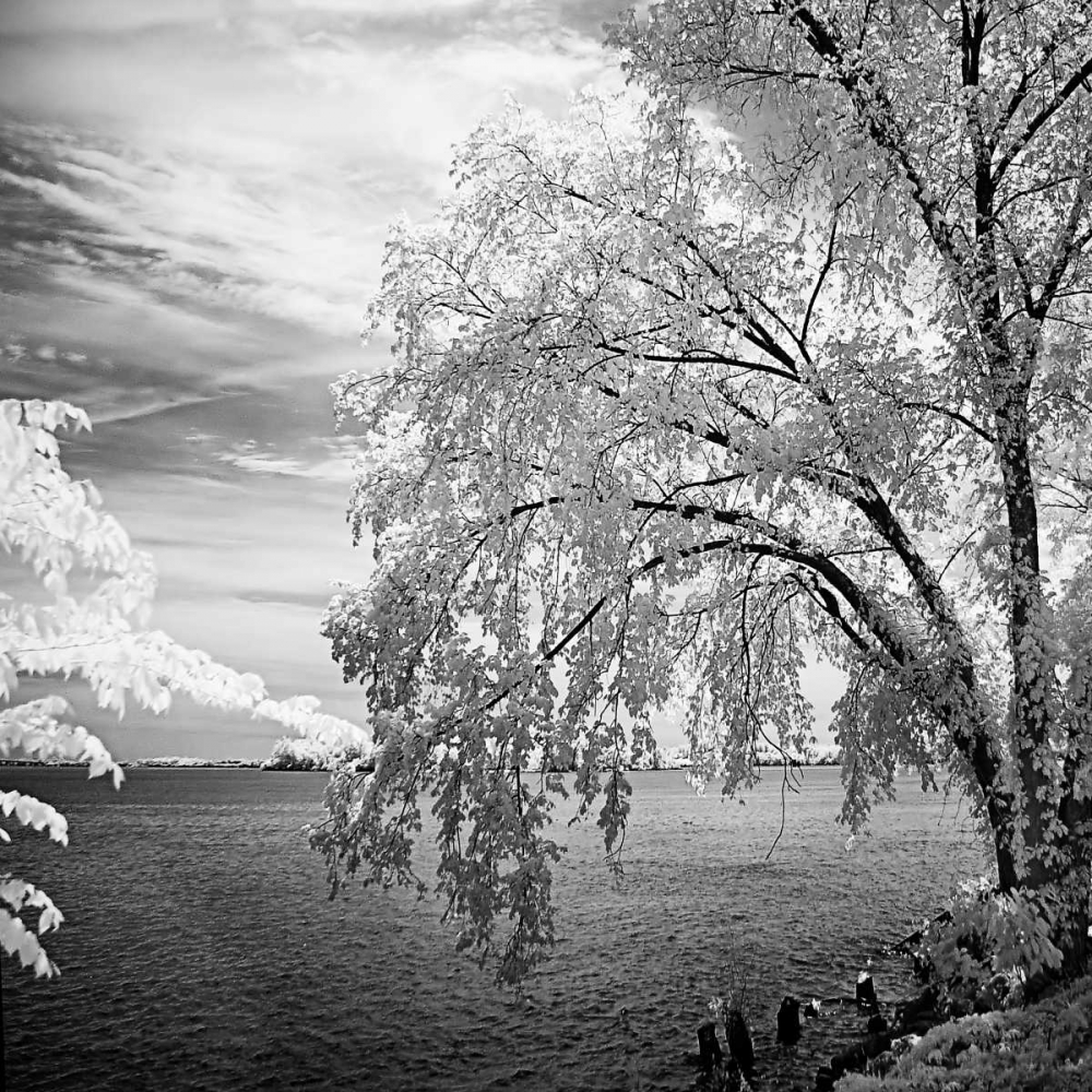 Hopewell Shores Square II art print by Alan Hausenflock for $57.95 CAD
