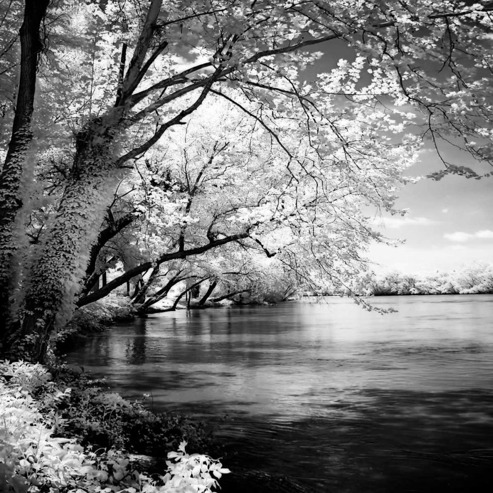 Spring on the River Square I art print by Alan Hausenflock for $57.95 CAD