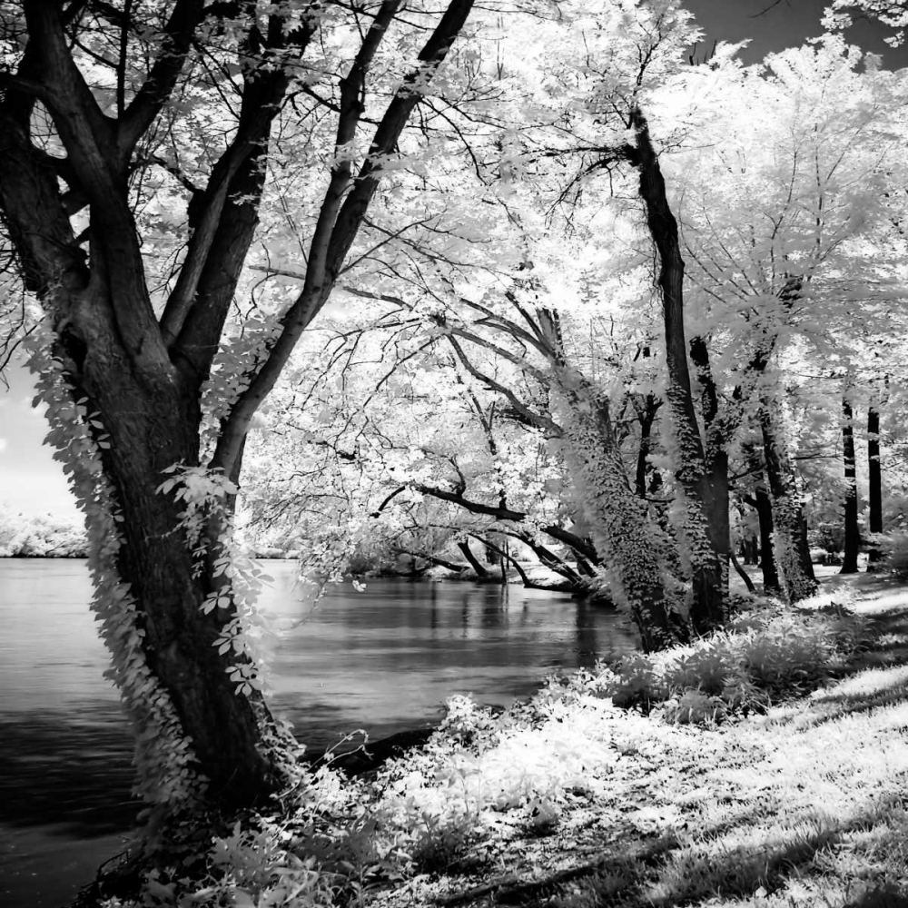 Spring on the River Square II art print by Alan Hausenflock for $57.95 CAD