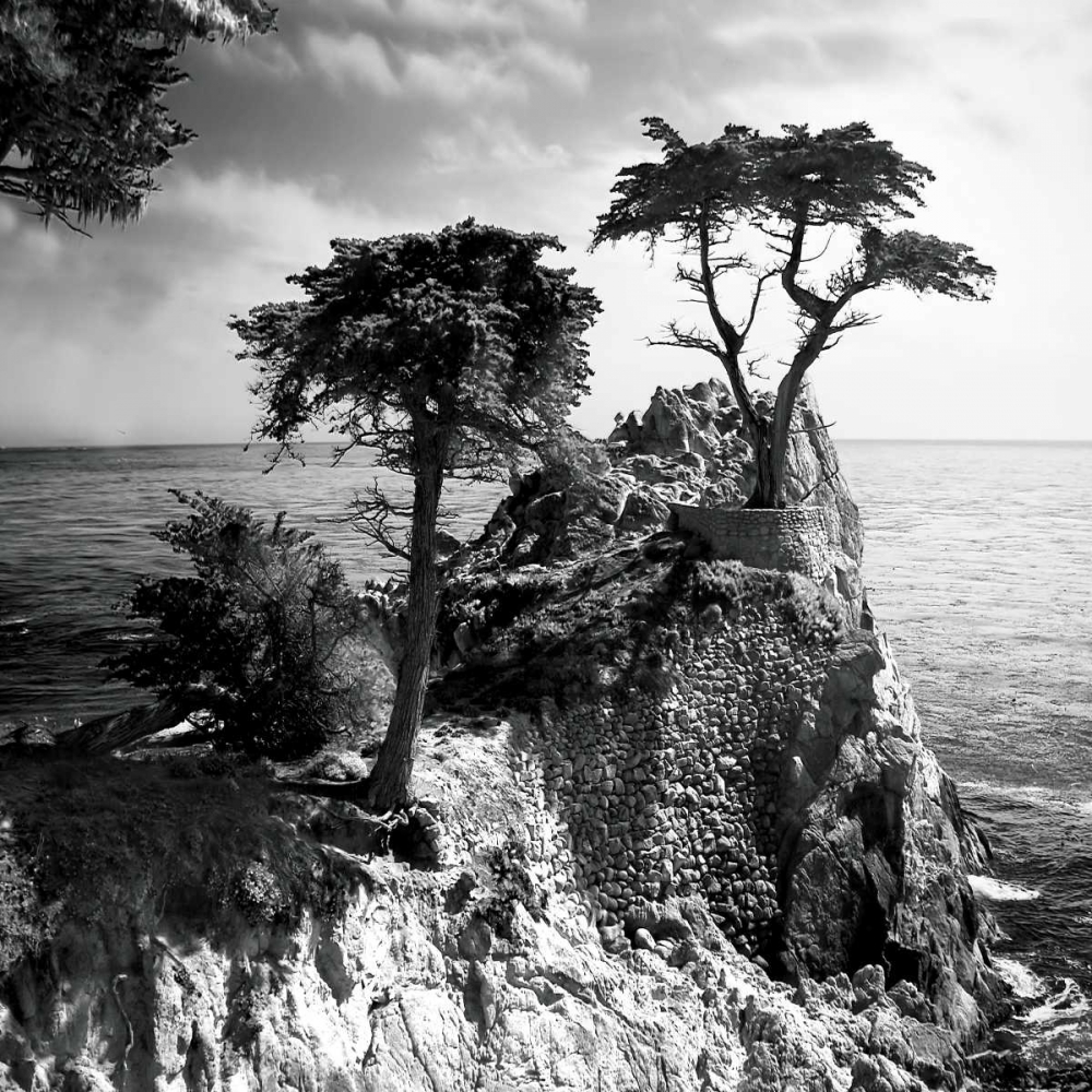 Ocean Cliff Square I art print by Alan Hausenflock for $57.95 CAD