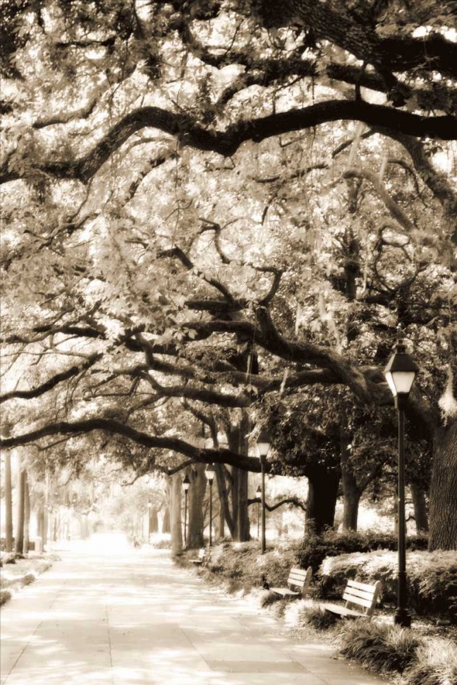 Savannah Sidewalk I art print by Alan Hausenflock for $57.95 CAD