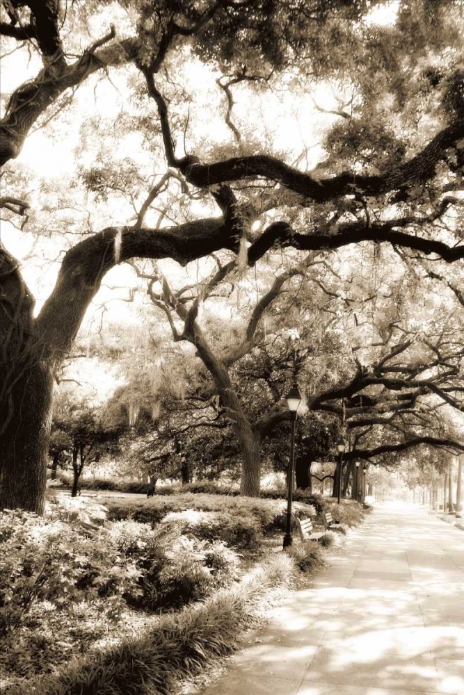 Savannah Sidewalk II art print by Alan Hausenflock for $57.95 CAD