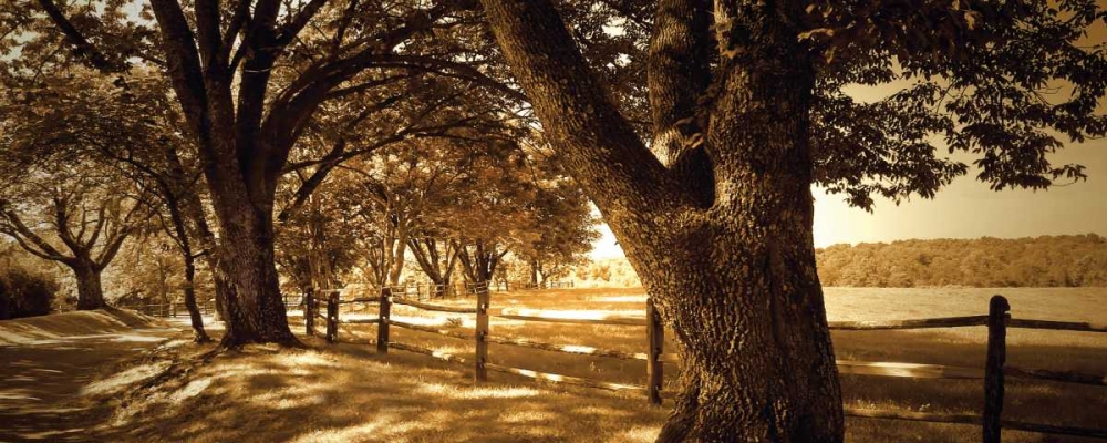 Summer Stroll Panel II art print by Alan Hausenflock for $57.95 CAD