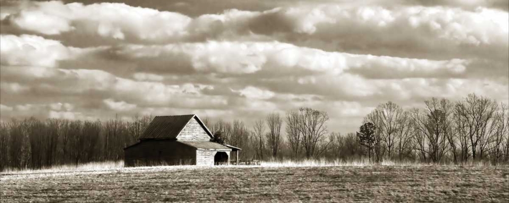 Cloudy Skies Panel II art print by Alan Hausenflock for $57.95 CAD