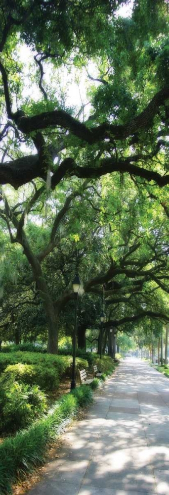 Savannah Sidewalk Panel II art print by Alan Hausenflock for $57.95 CAD