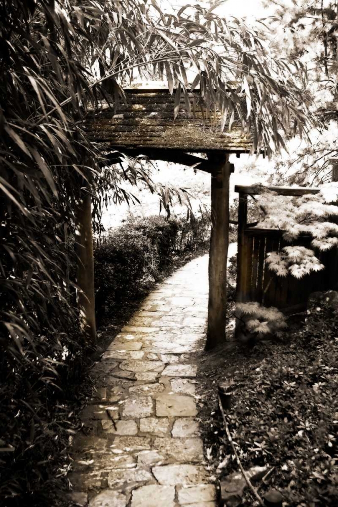 Bamboo Garden I art print by Alan Hausenflock for $57.95 CAD