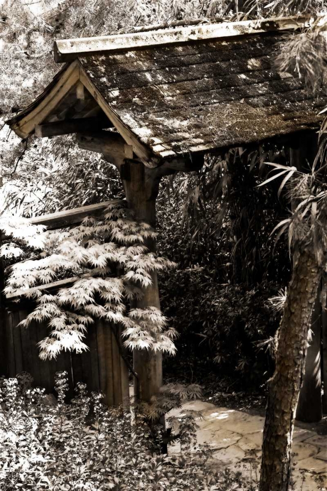 Bamboo Garden II art print by Alan Hausenflock for $57.95 CAD