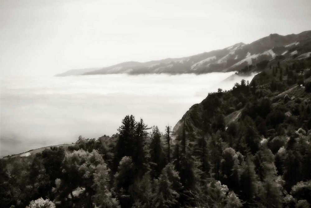 Pacific Fog II art print by Alan Hausenflock for $57.95 CAD