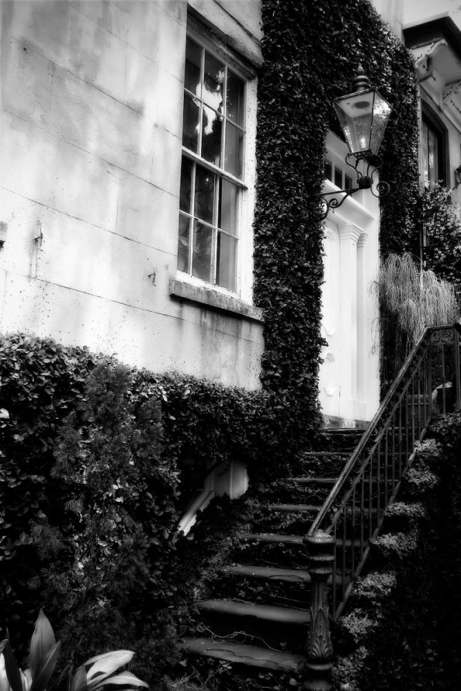 Savannah Style II art print by Alan Hausenflock for $57.95 CAD