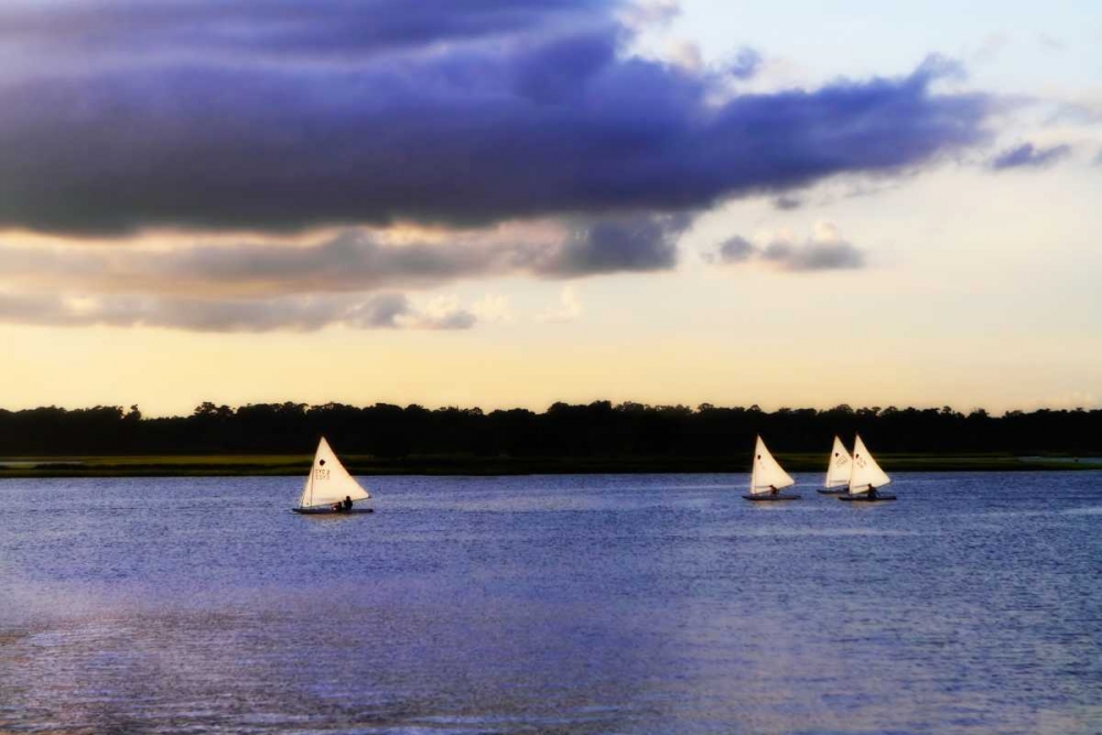 Sunfish Sailors I art print by Alan Hausenflock for $57.95 CAD
