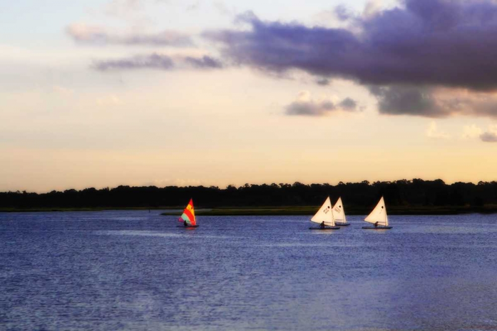 Sunfish Sailors II art print by Alan Hausenflock for $57.95 CAD