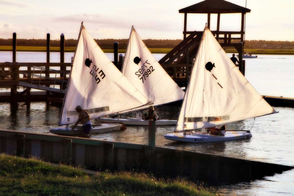 Three Sunfish II art print by Alan Hausenflock for $57.95 CAD