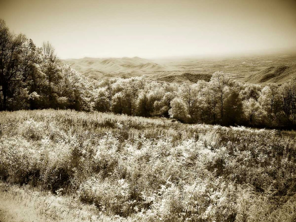 Piney Mountain I art print by Alan Hausenflock for $57.95 CAD