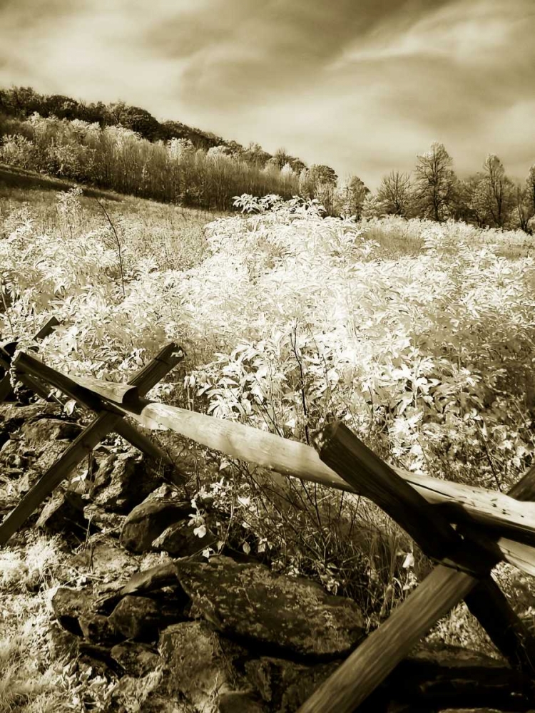 Autumn Ridge I art print by Alan Hausenflock for $57.95 CAD
