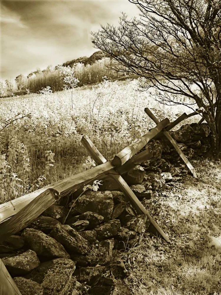 Autumn Ridge II art print by Alan Hausenflock for $57.95 CAD